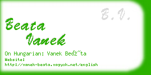 beata vanek business card